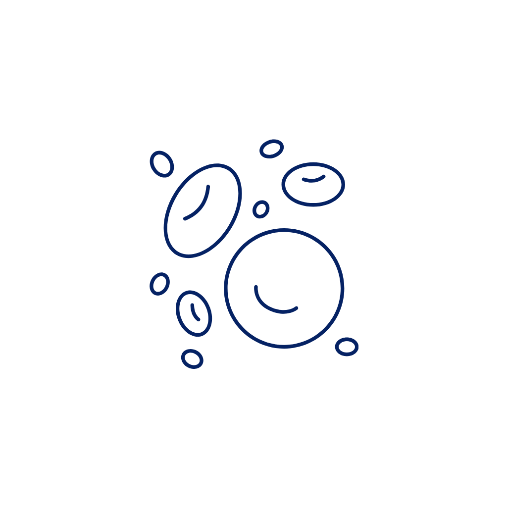 Cells and Organisation